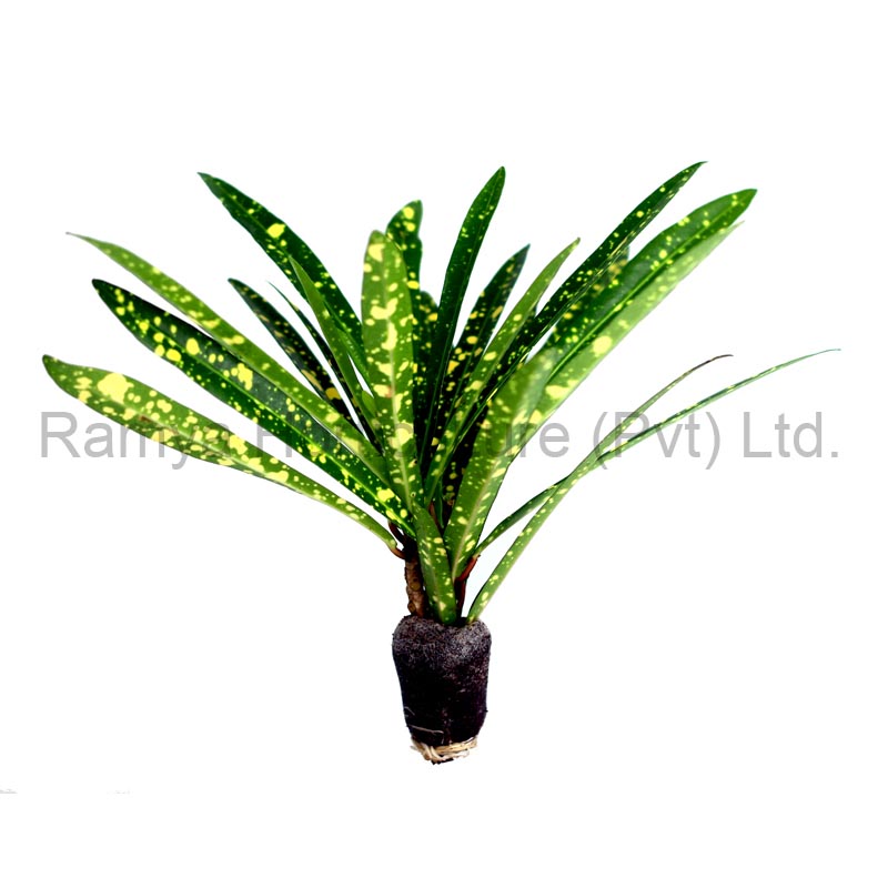 Product Big image