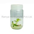 Ramya Horticulture